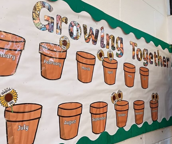 Growing Together First Steps Parent Info